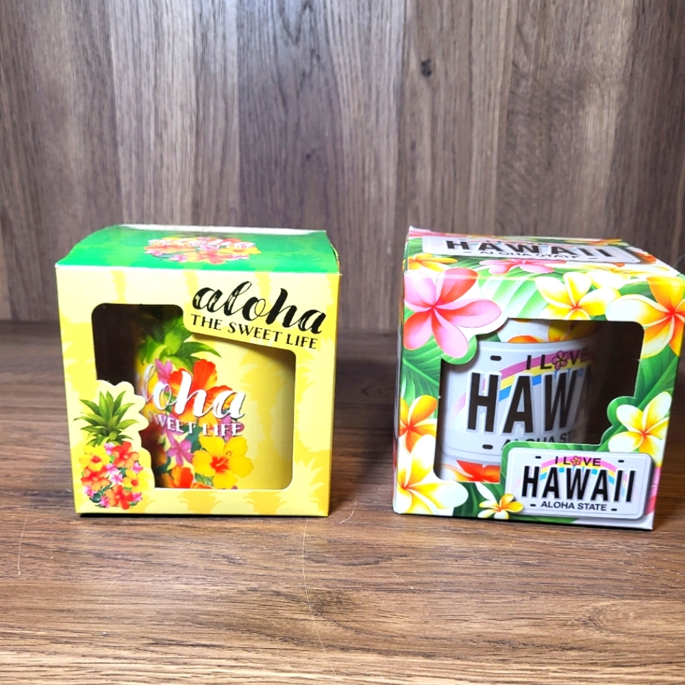 Rainbow Hawaii & Floral Pineapple Mugs ABC Stores NEW in Box 2 Set